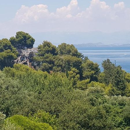Appartamento Mon Repos Panorama Corfu  Esterno foto